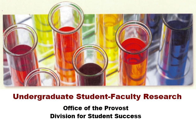 Student-Faculty Research Projects